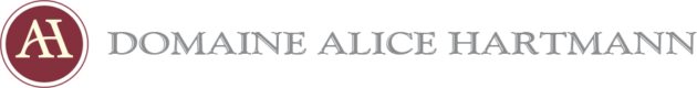 Website header banner featuring a cream 'AA' logo on a maroon left panel and a grey gradient right section.